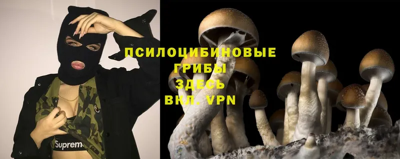 Псилоцибиновые грибы Magic Shrooms  Кремёнки 